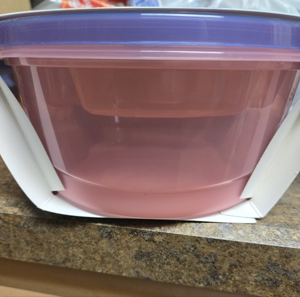 Snap & Store Salad Kit Container - Picture 3 of 6